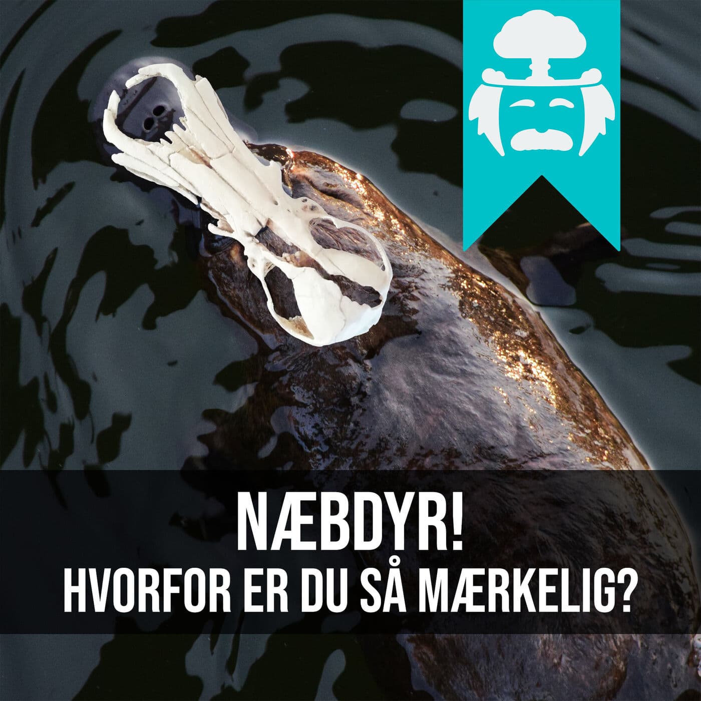 #010: En hest skal have hjul - Forbudt evolution artwork