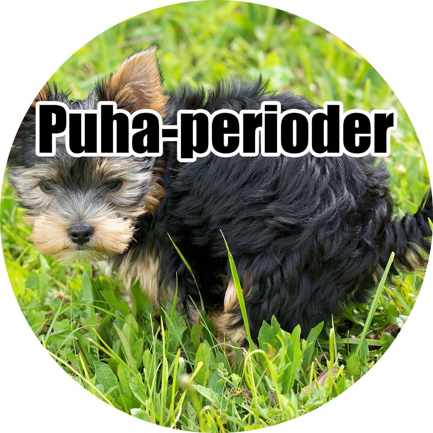 #1.18: Puha-perioder artwork