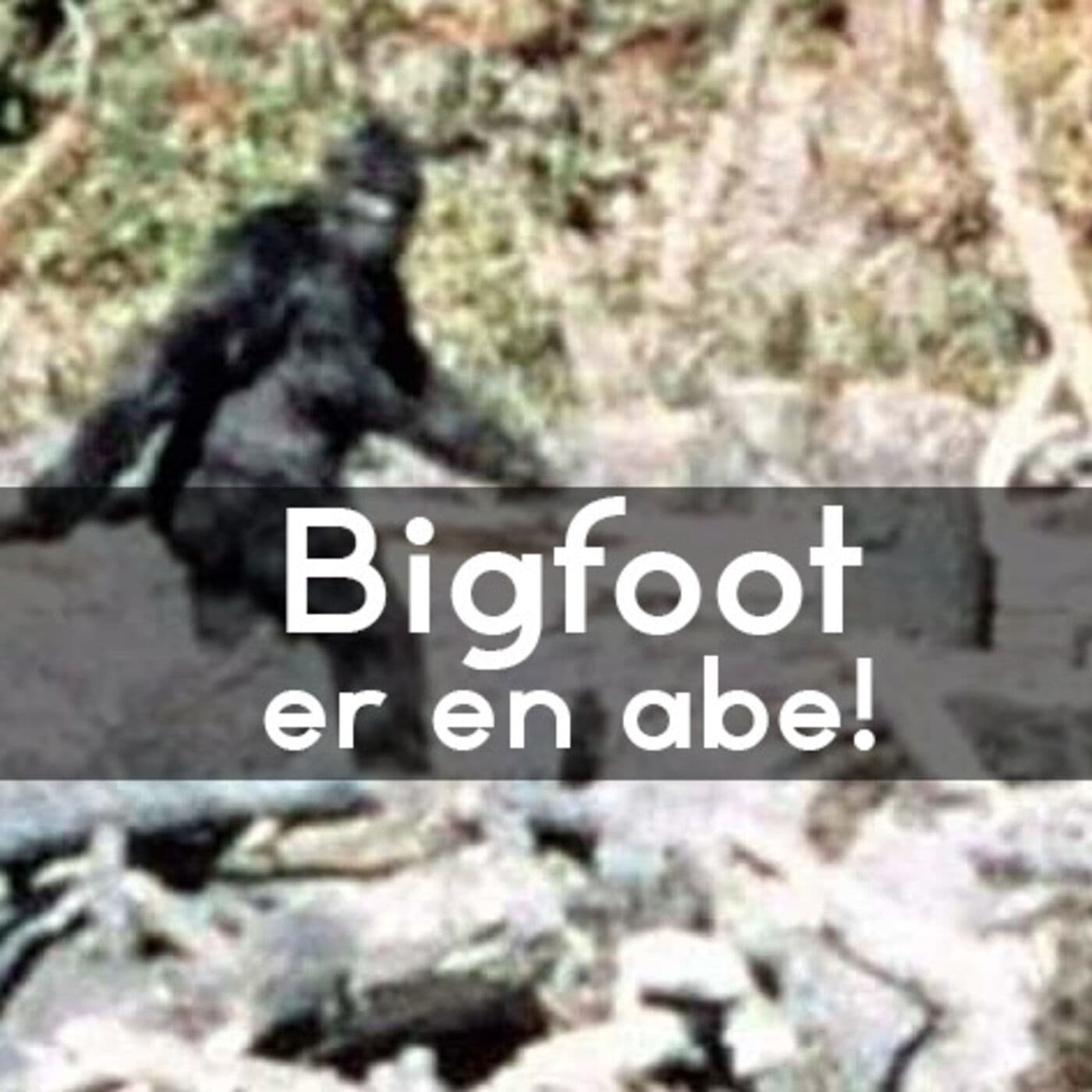 #3.34: Hvad er Bigfoot egentligt? artwork