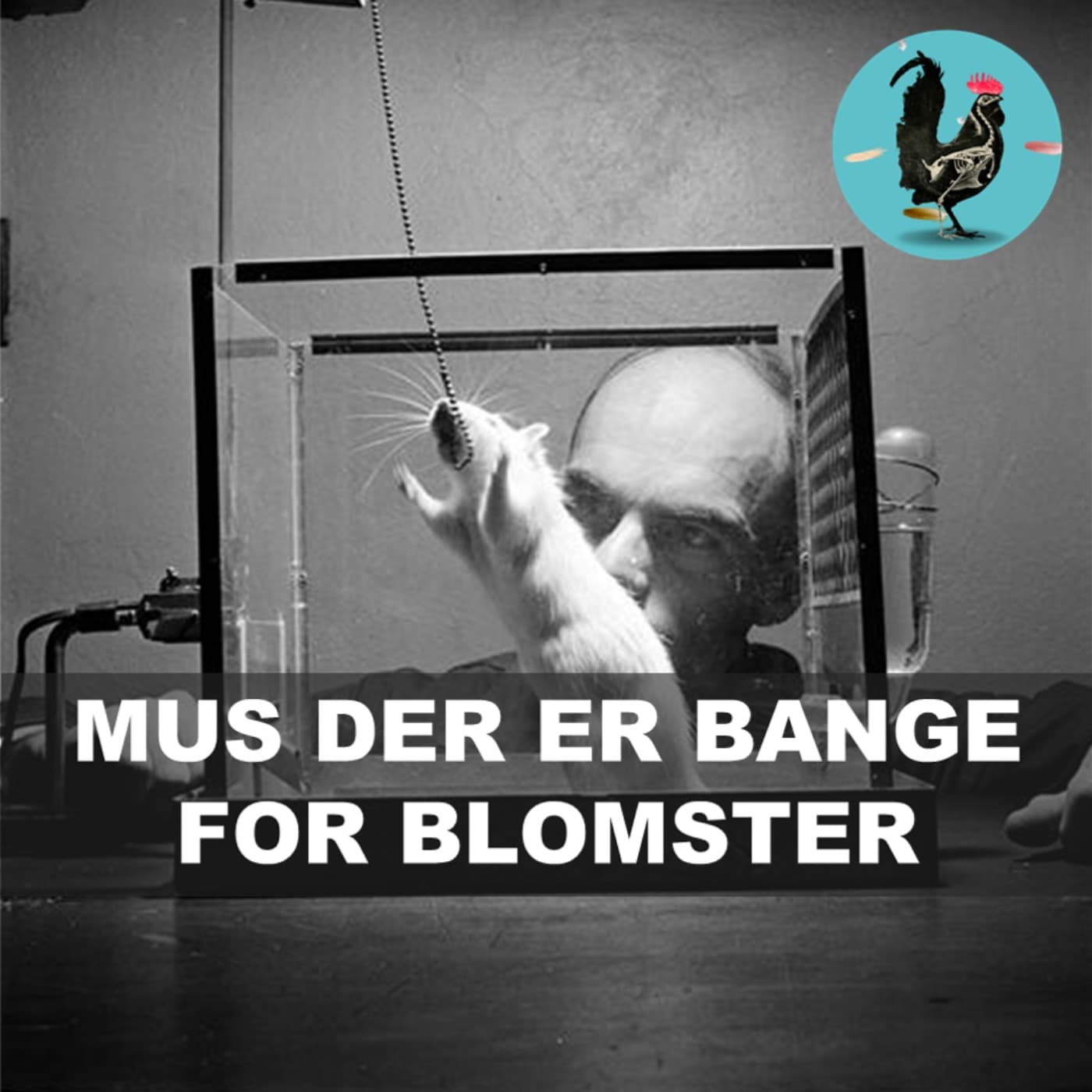 #250: Kan traumer gå i arv? artwork