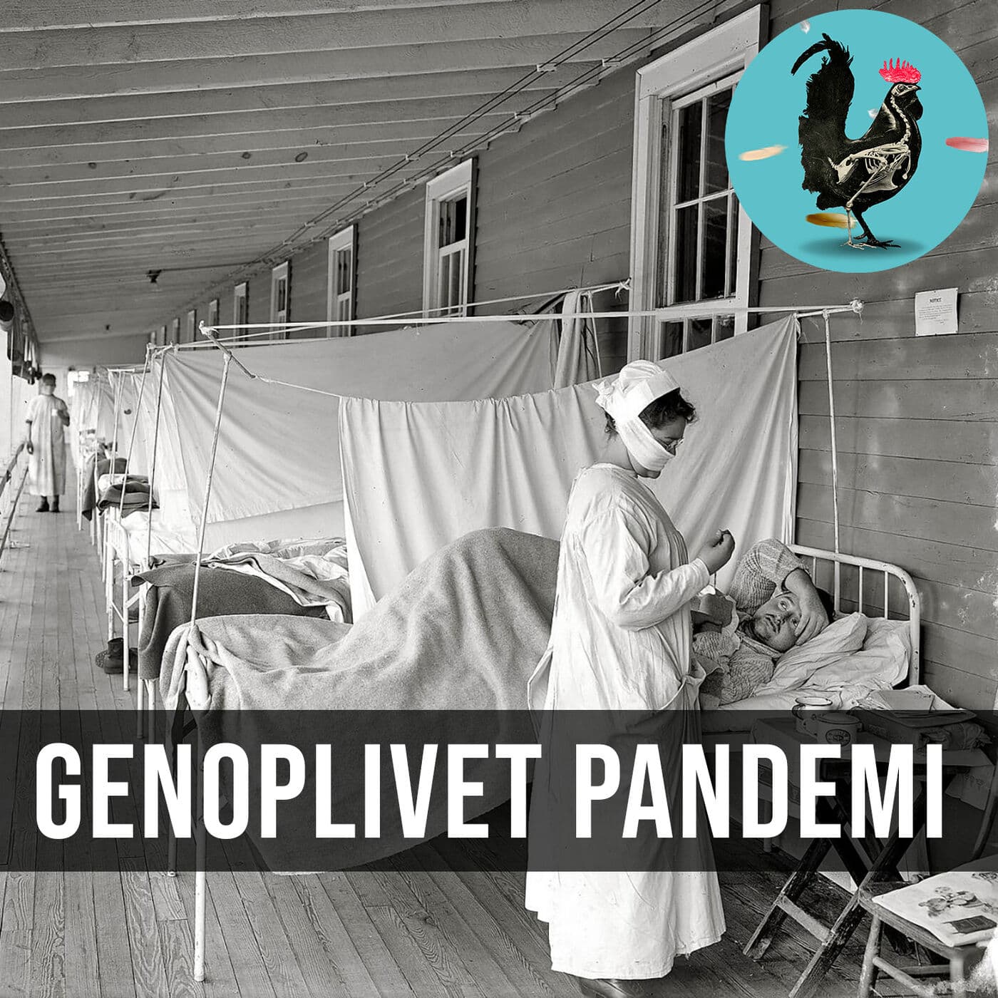 #124: Den Spanske Syge var ikke spansk artwork