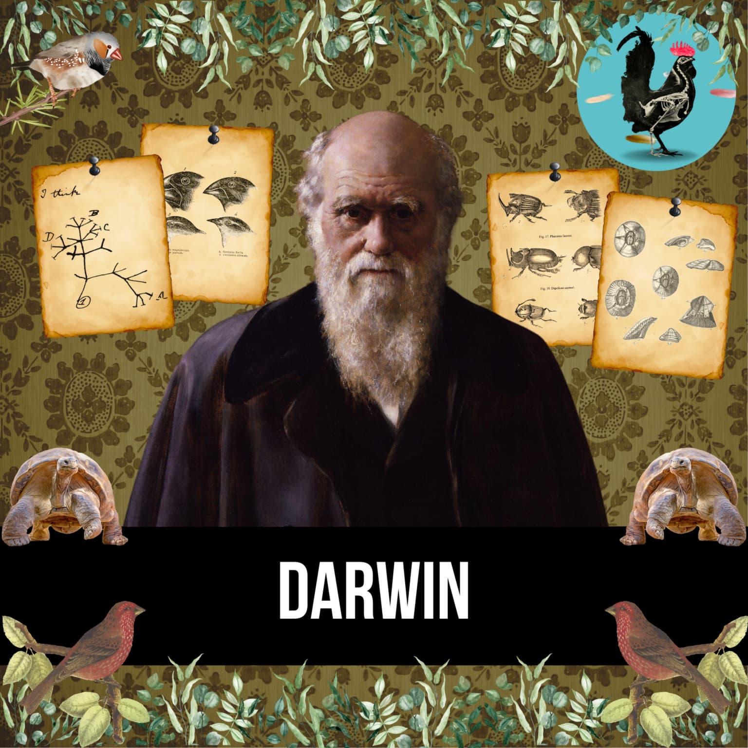 #208: Charles Darwin (live) artwork