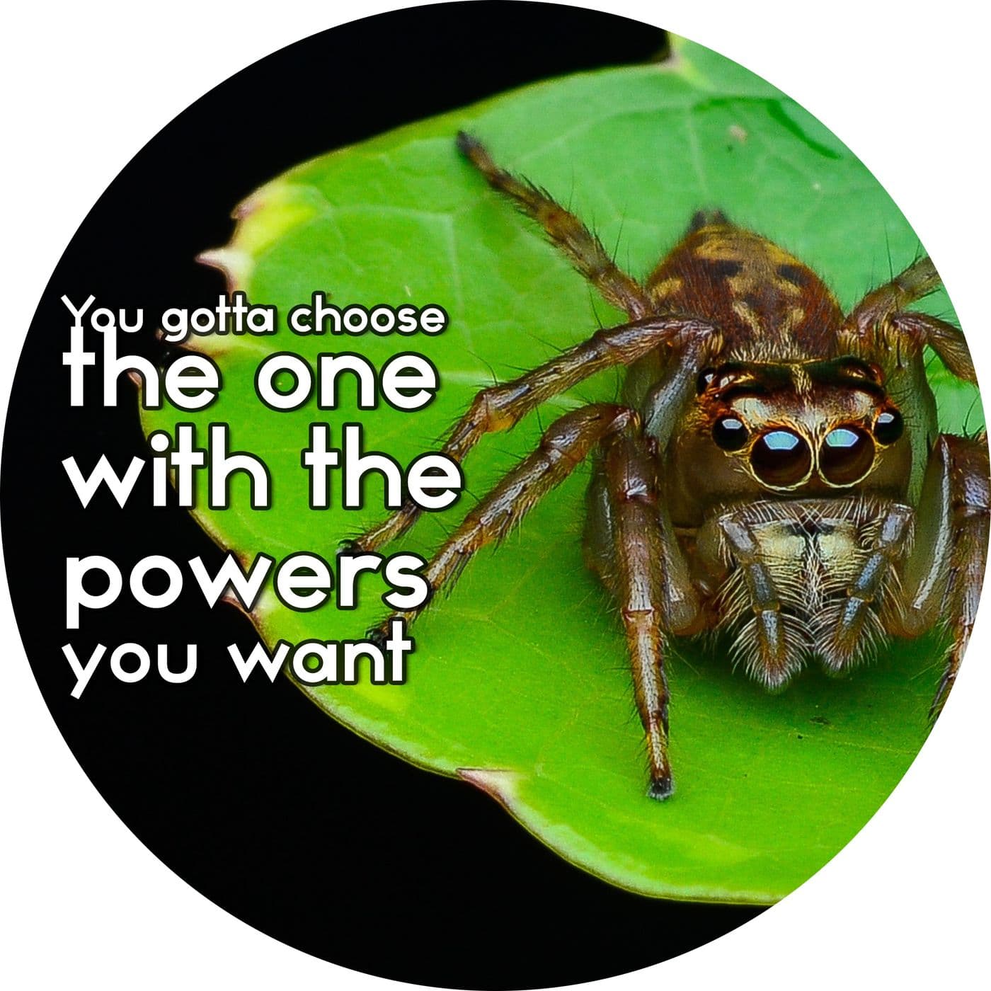 #2.13: You gotta choose the one with the powers you want artwork