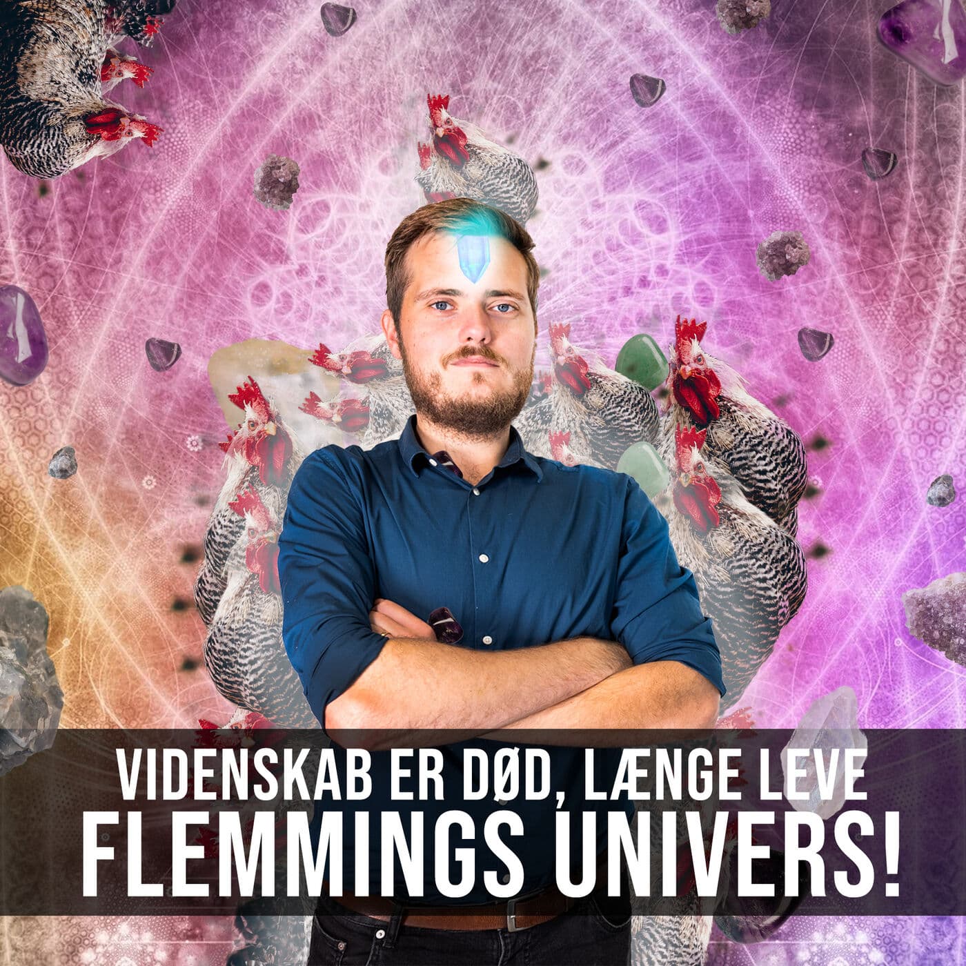 # Flemmings univers artwork