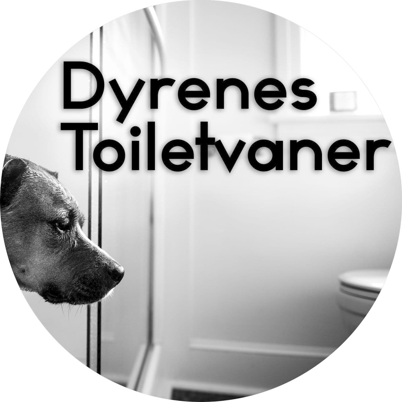 #2.14: Dyrenes toiletvaner artwork