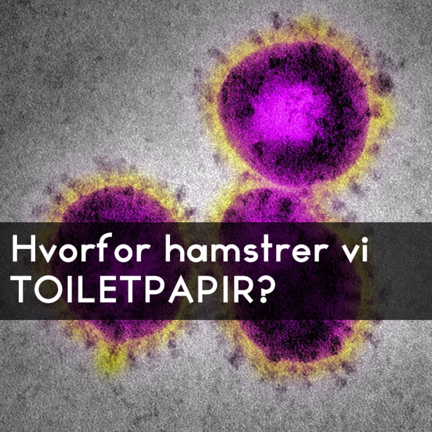#3.41: Hvorfor hamstrer vi toiletpapir? artwork
