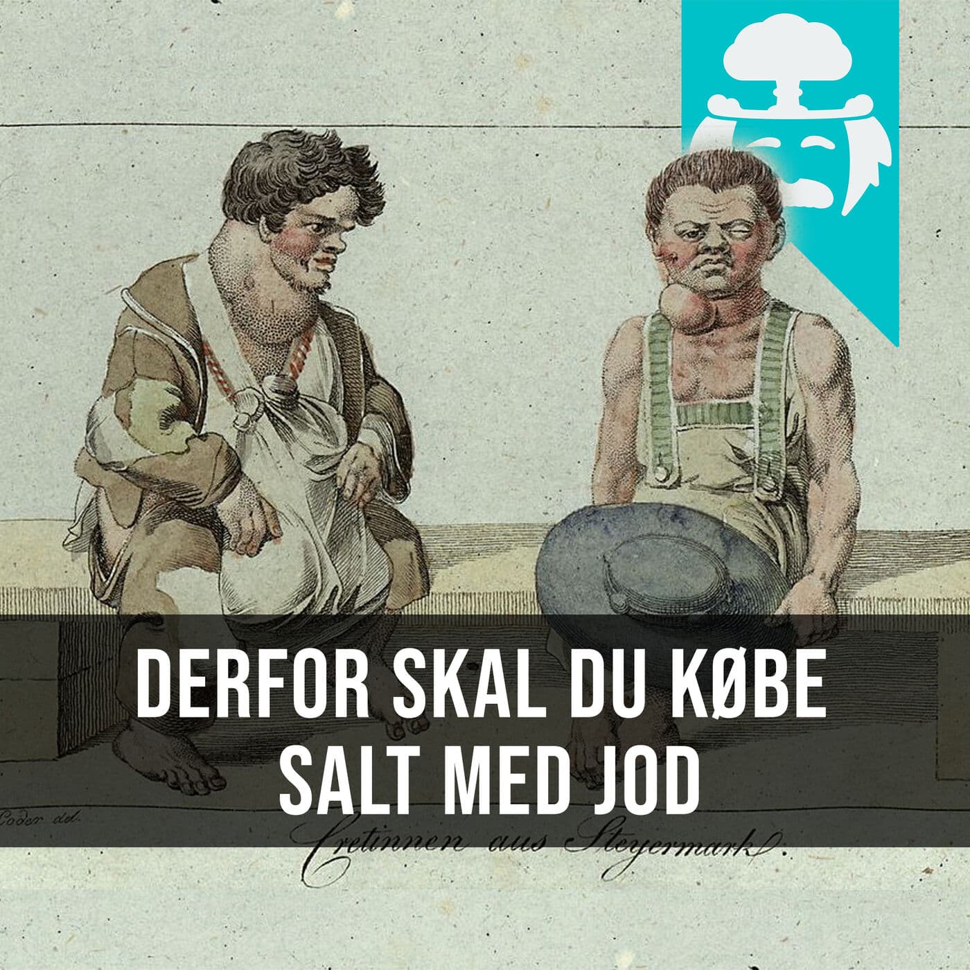 #008: Hvorfor kan jeg ikke komme i hæren? artwork