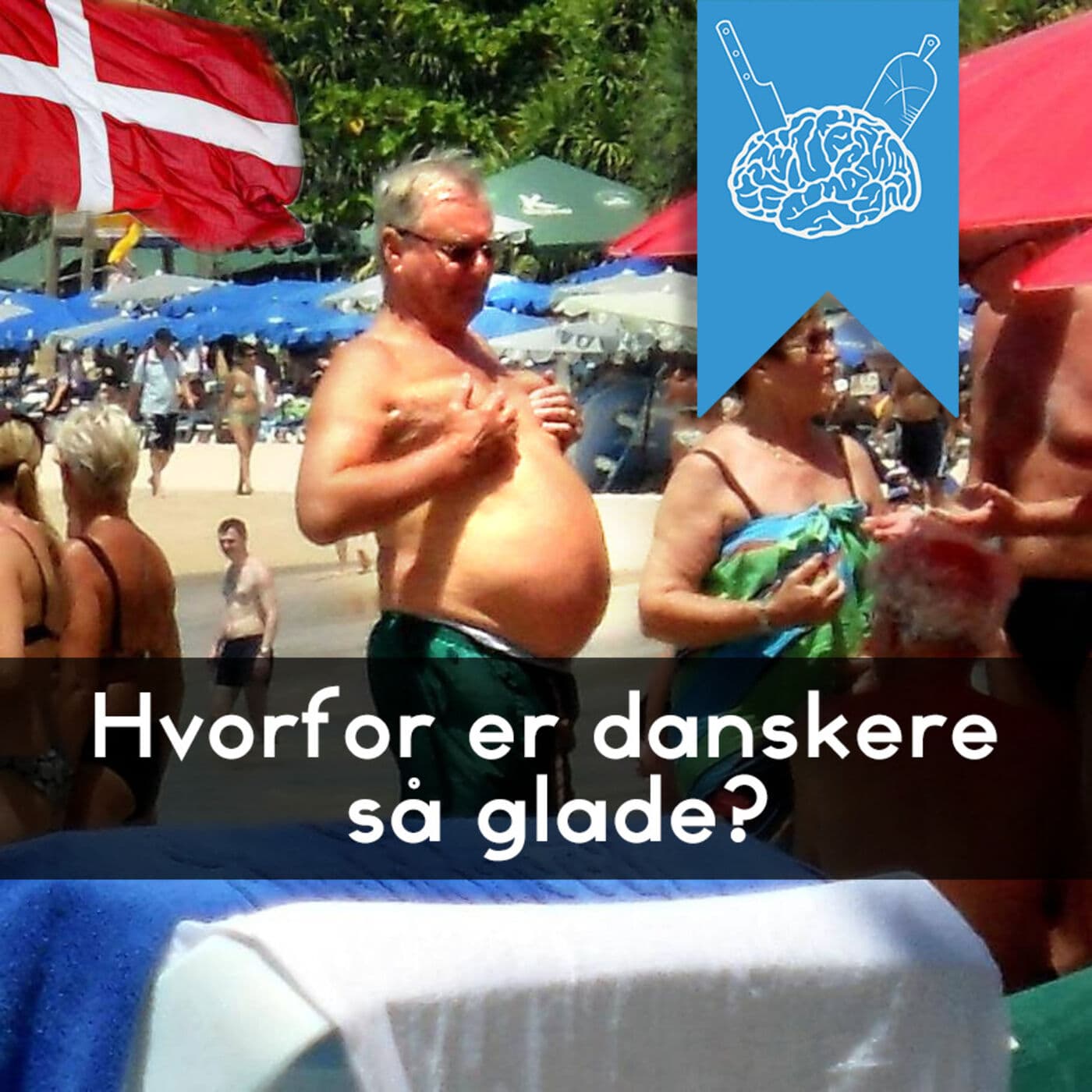 #3.65: Danskerforskning artwork