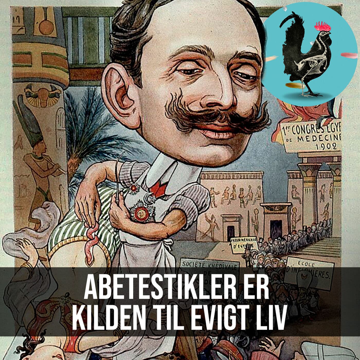#050: Abetestikelvævstransplantation og dets gavnlige effekter artwork