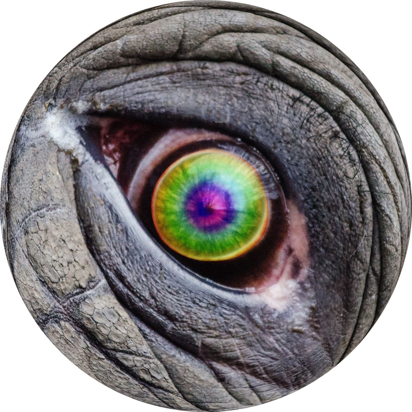 #1.02: Elefanter på LSD artwork