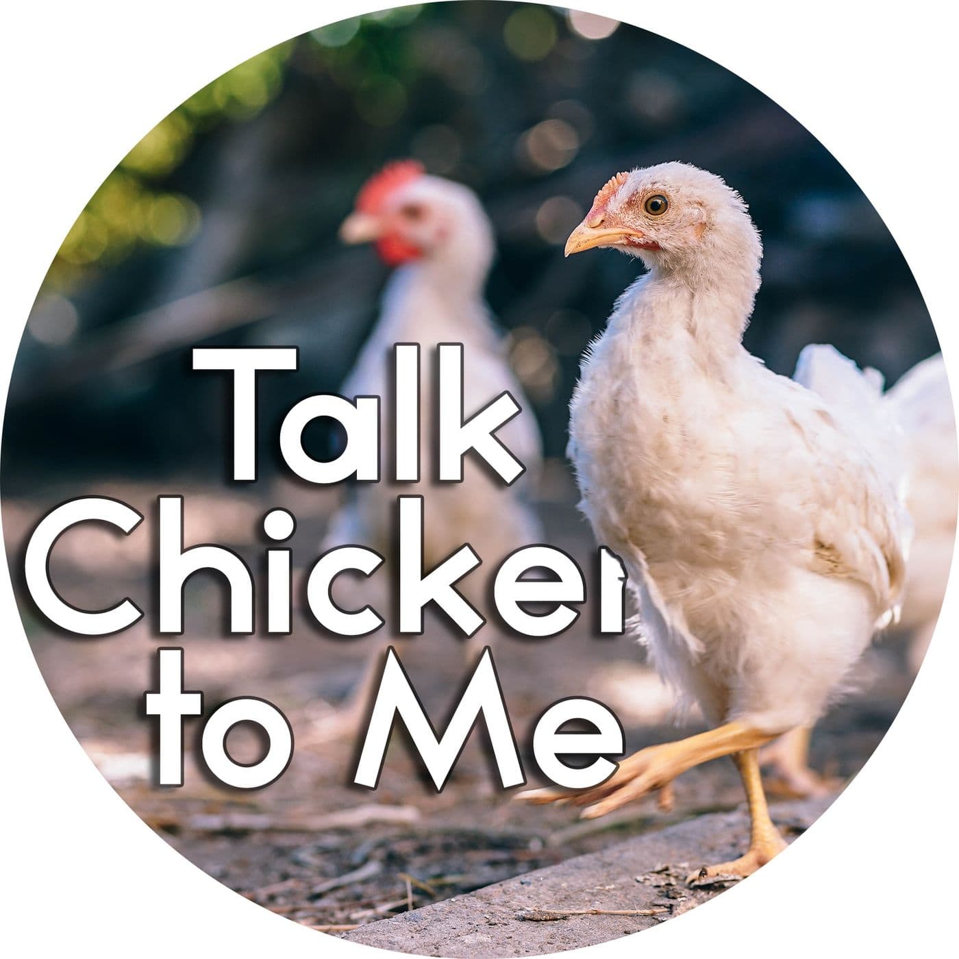 #2.11: Talk Chicken to Me artwork