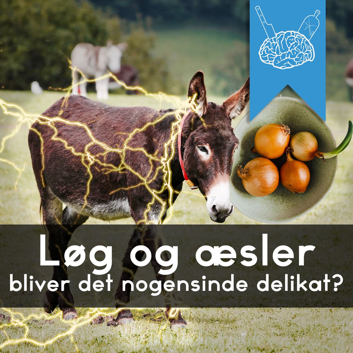 #3.73: Kan vi gøre mad bedre? artwork