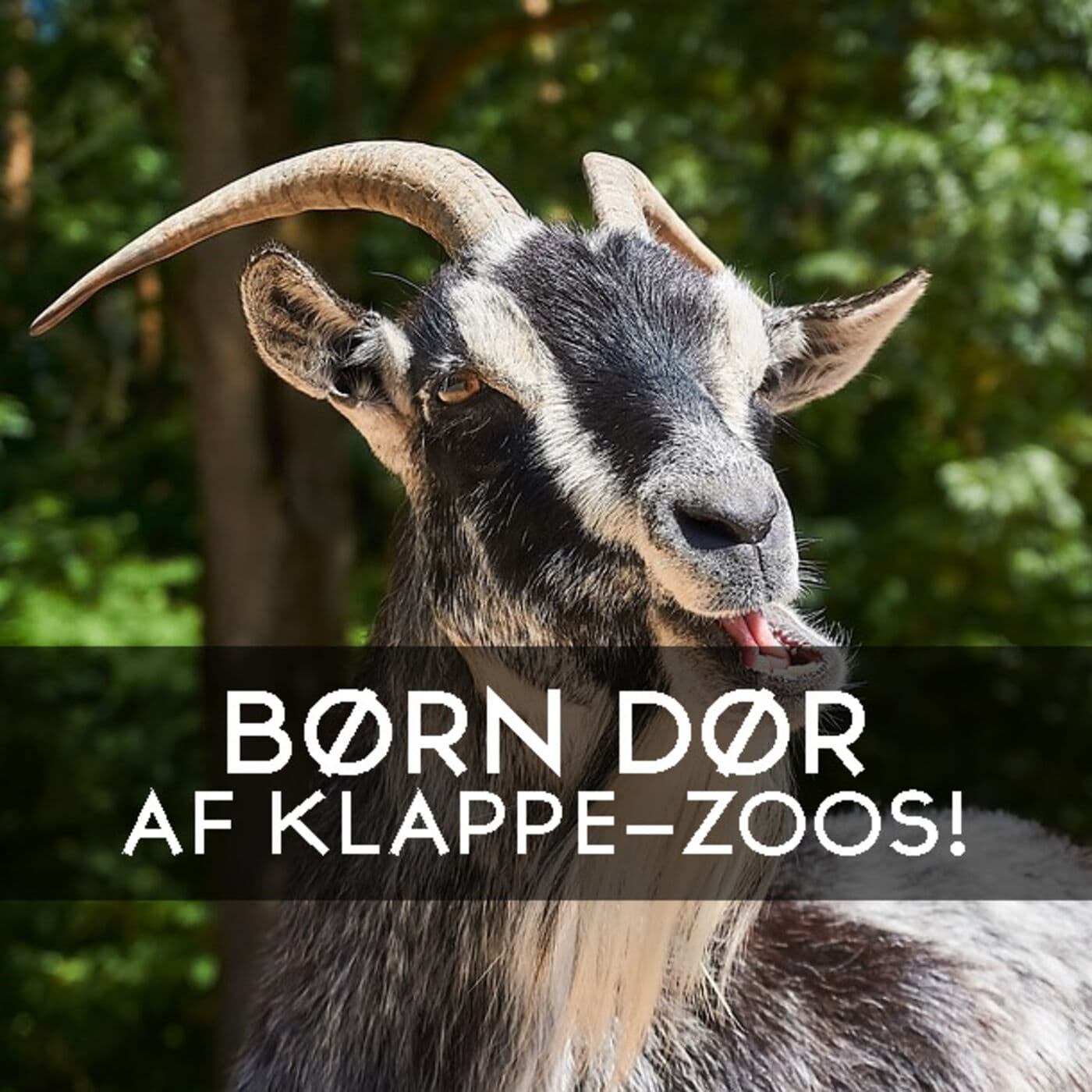 #3.35: Børne-zoos er dødsfælder! artwork