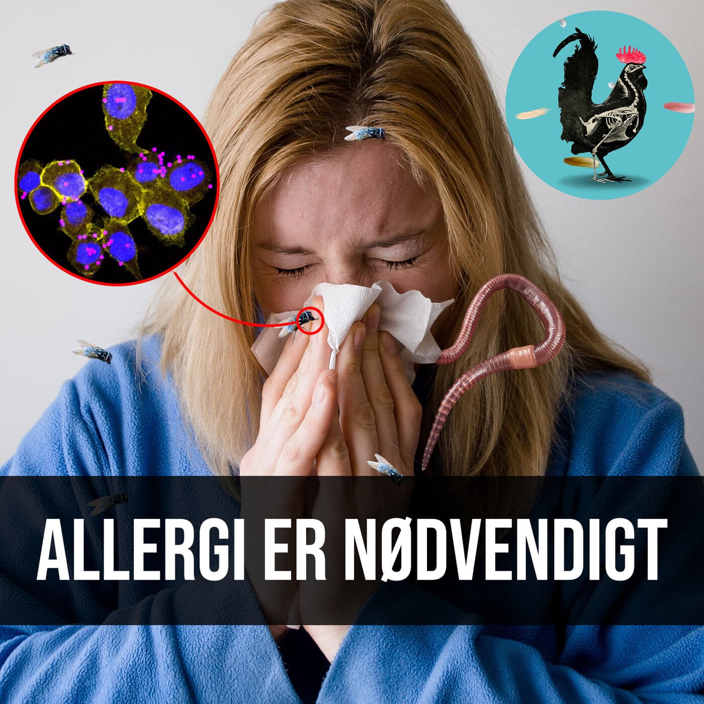 #034: Hvorfor er vi allergiske? artwork