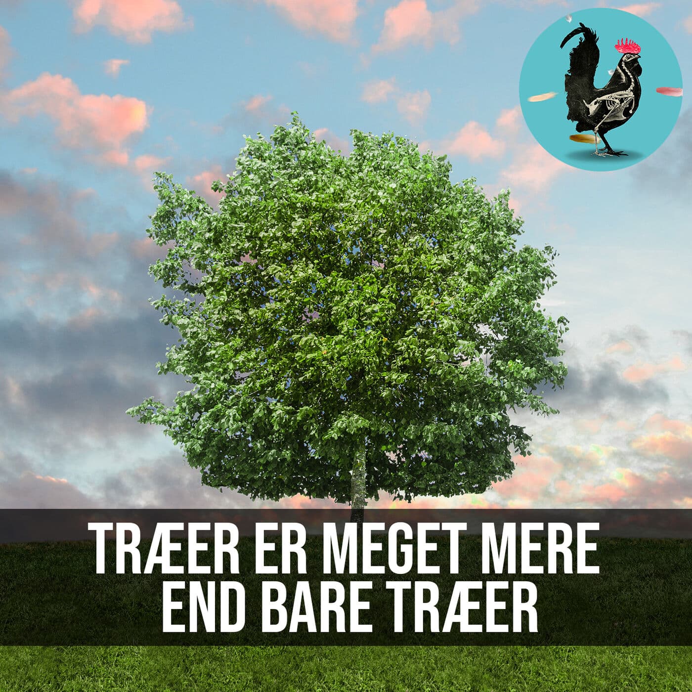 #064: Hvad taler træer om? artwork