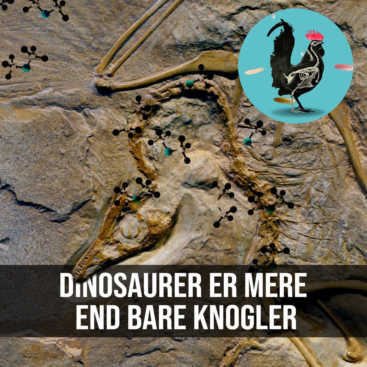 #070: Hvad ved vi egentlig om dinosaurer? artwork