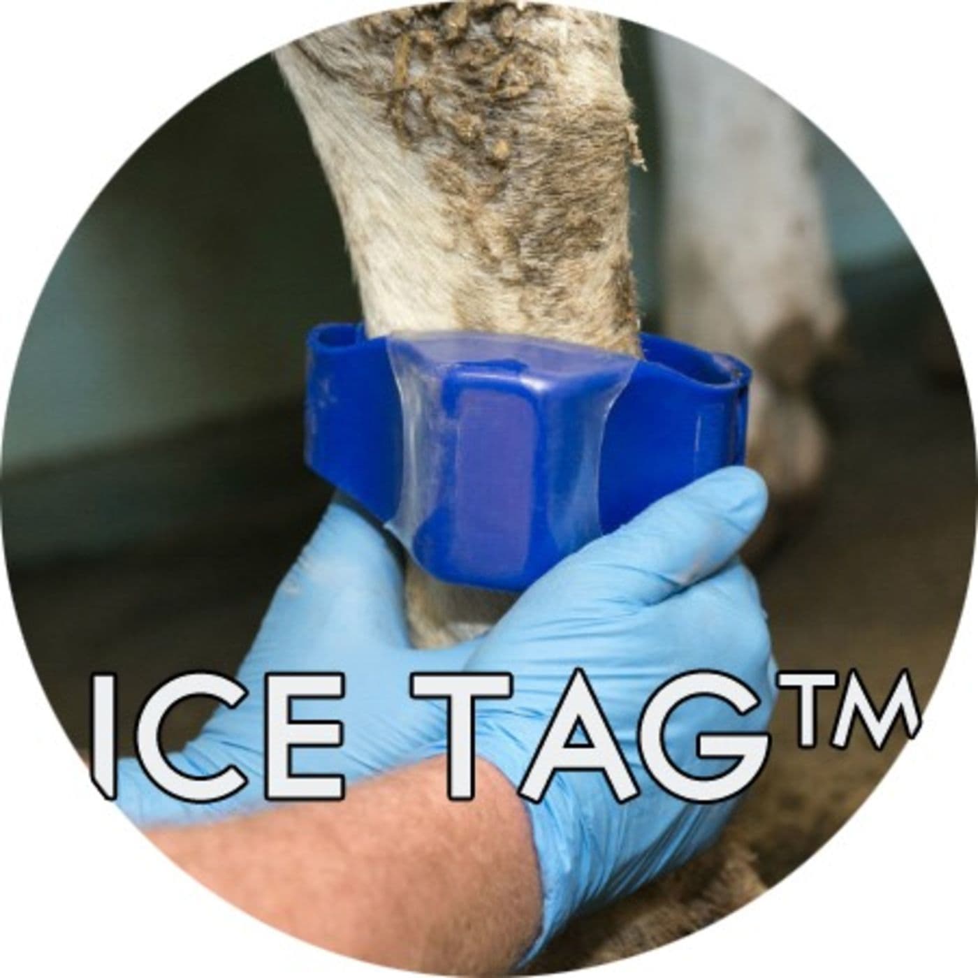 #1.08: Ice Tag (TM) artwork