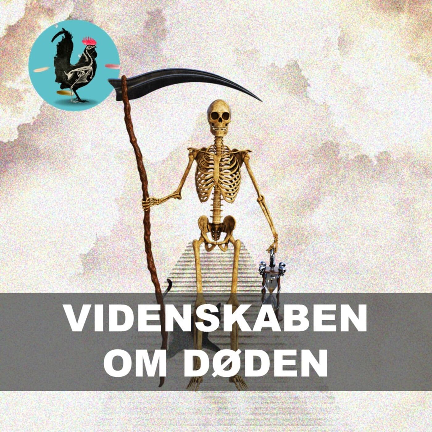 #101: Nærdødsoplevelser artwork