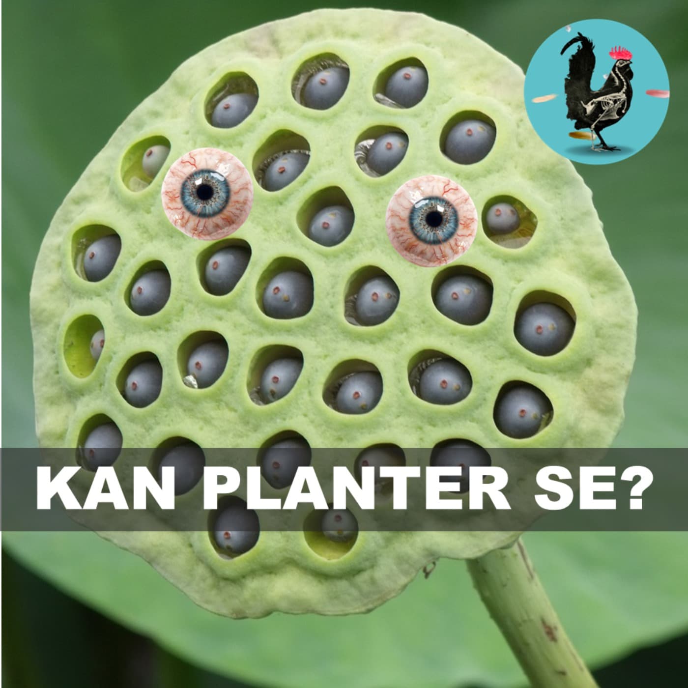 #204: Kan planter se? artwork
