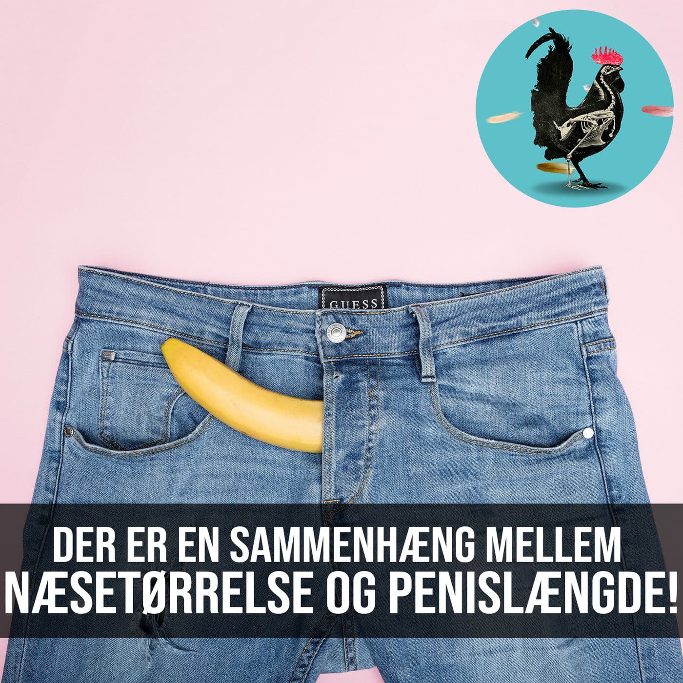 #066: Penis p-værdier fra tissemands t-tests artwork