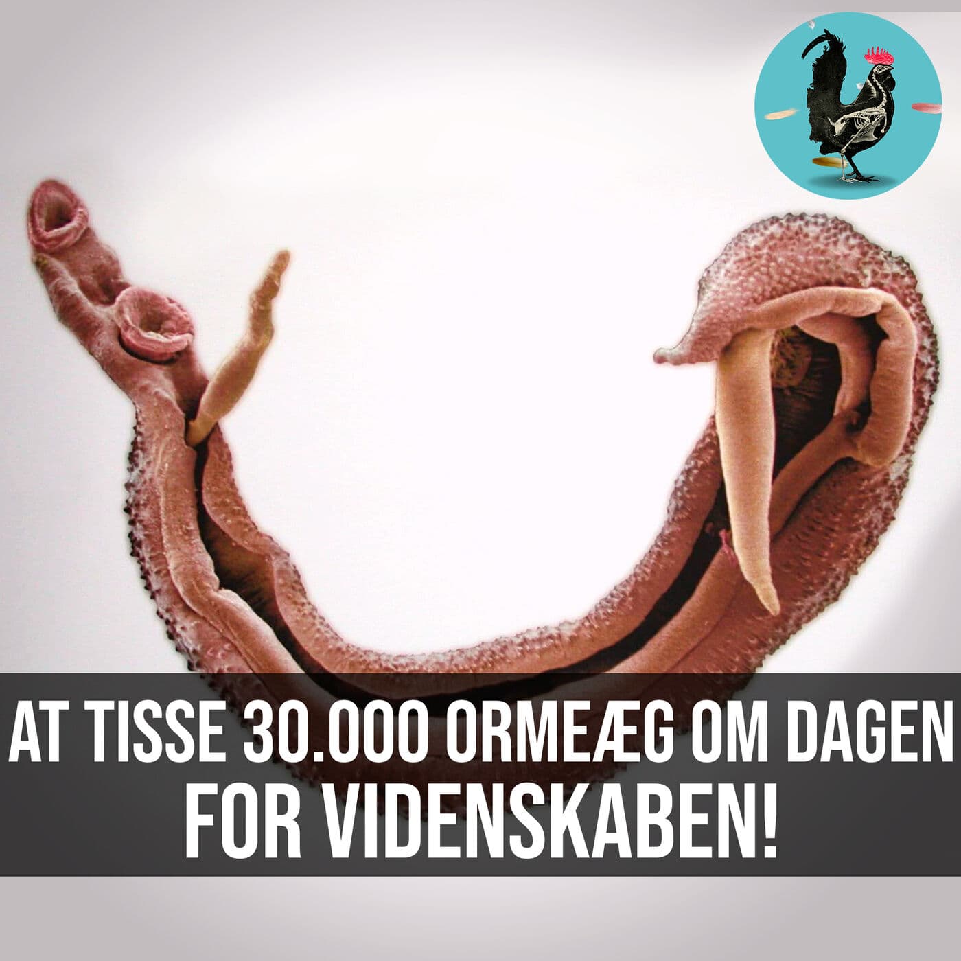#019: Læger der forsker på sig selv artwork