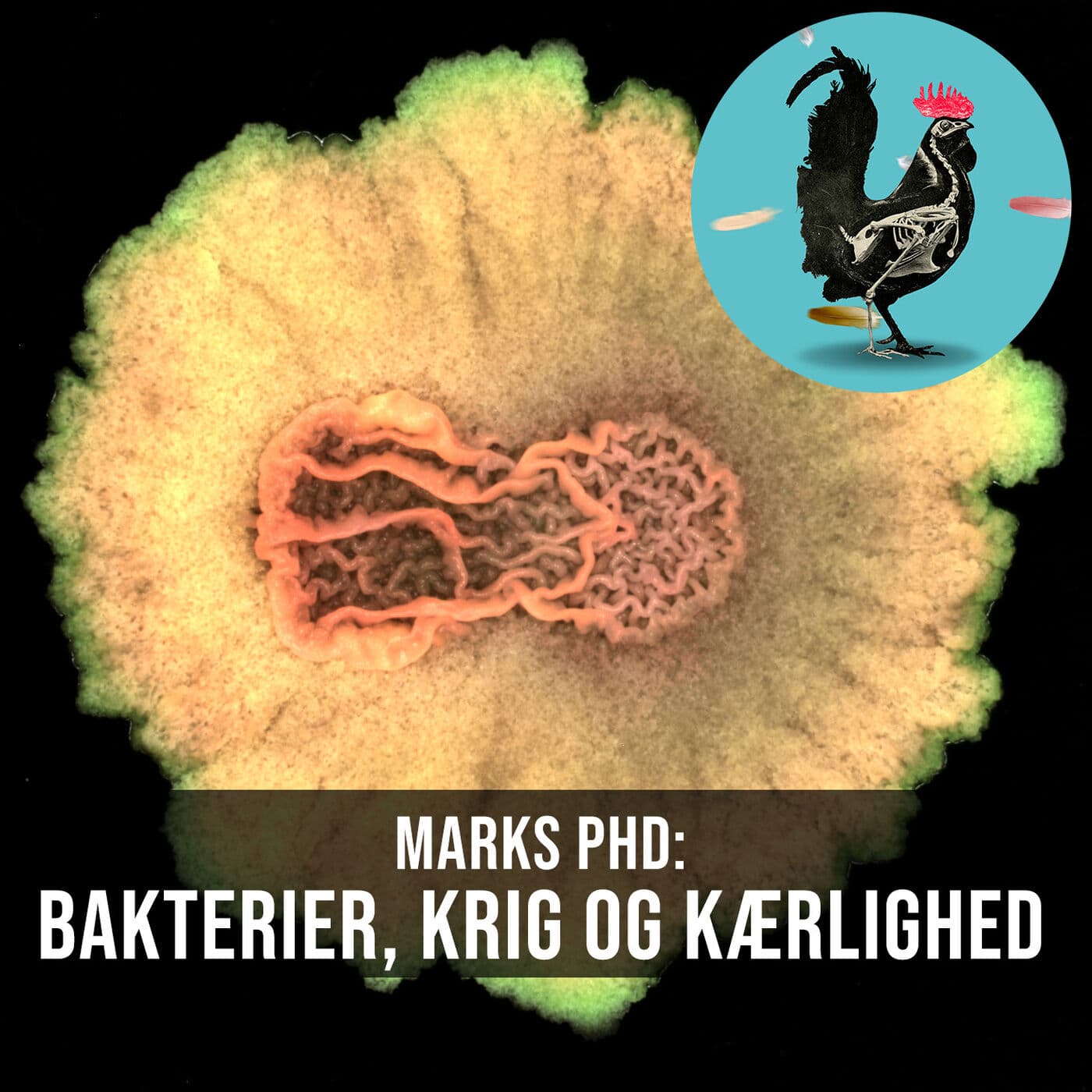 #139: Bakterier laver bjerge og slås (Marks PhD) artwork