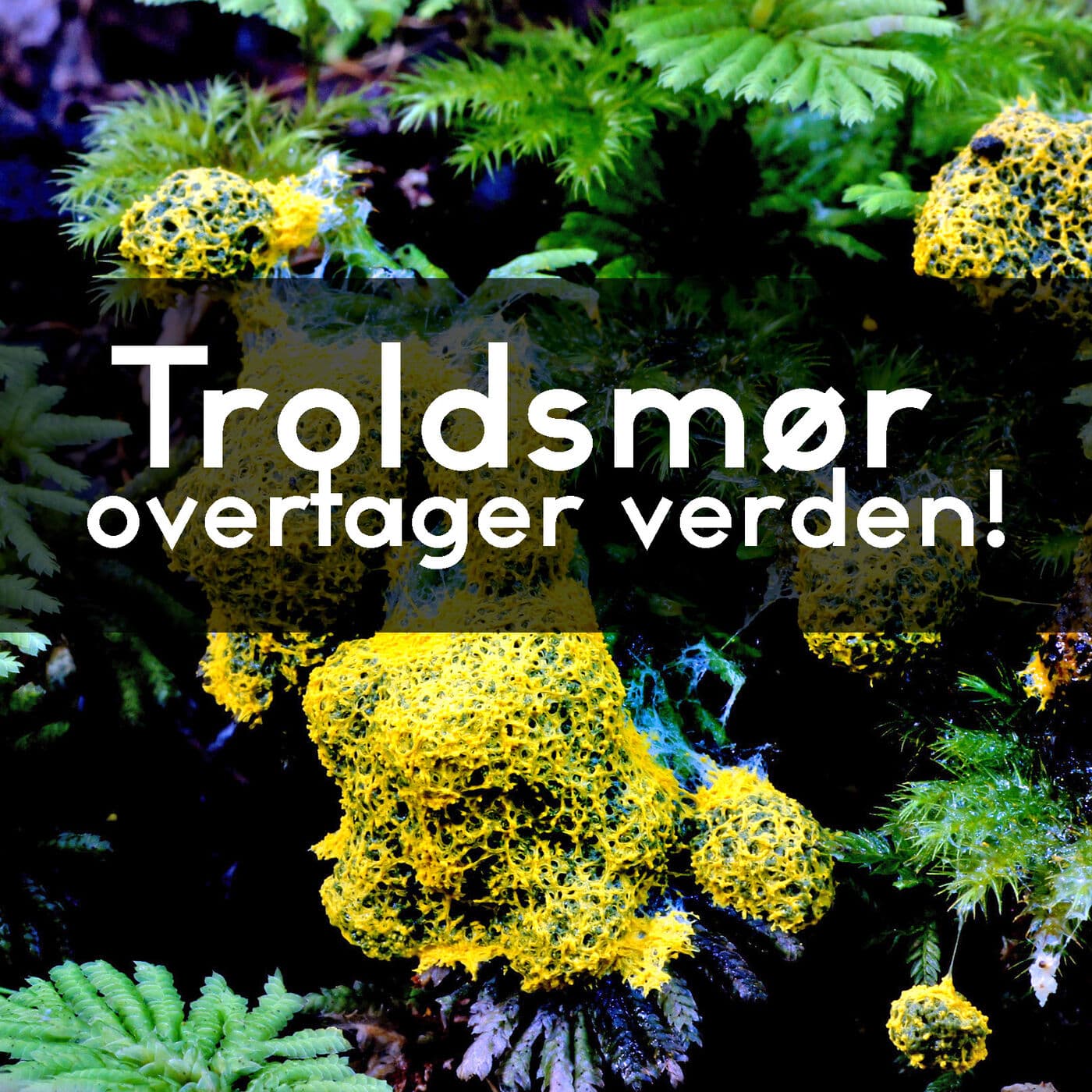 #3.26: Intelligens uden hjerne artwork