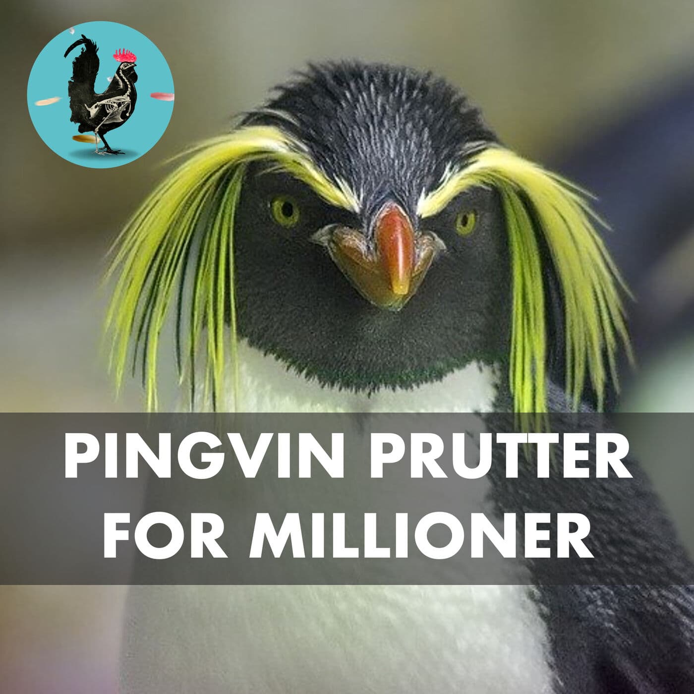 #078: Million-forskning i pingvin-skidning artwork