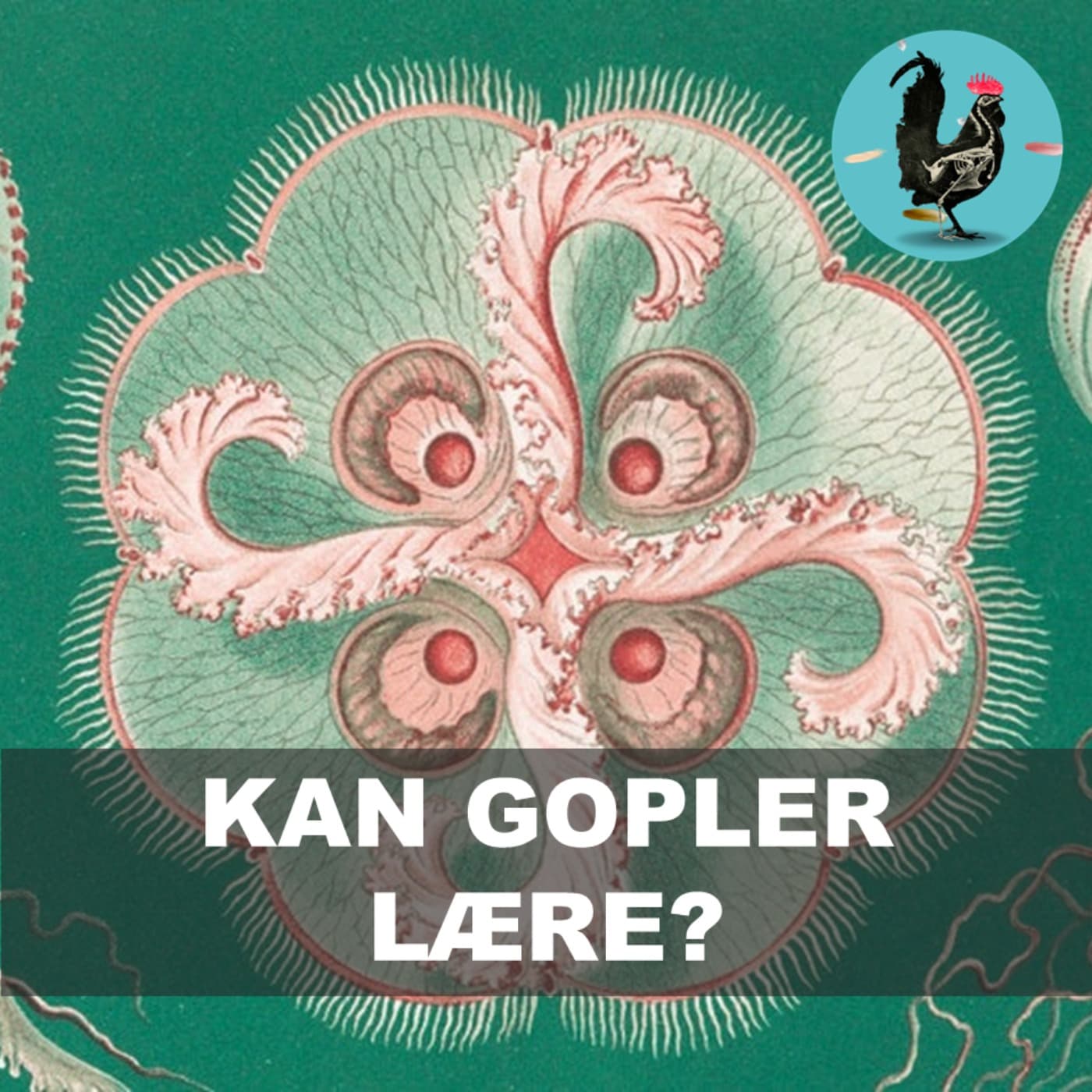 #192: Vand-motherfuckin-mænd - Hvad sker der for dem? artwork