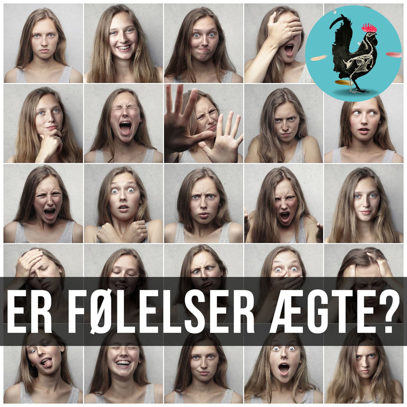 #125: Hvad er følelser? artwork