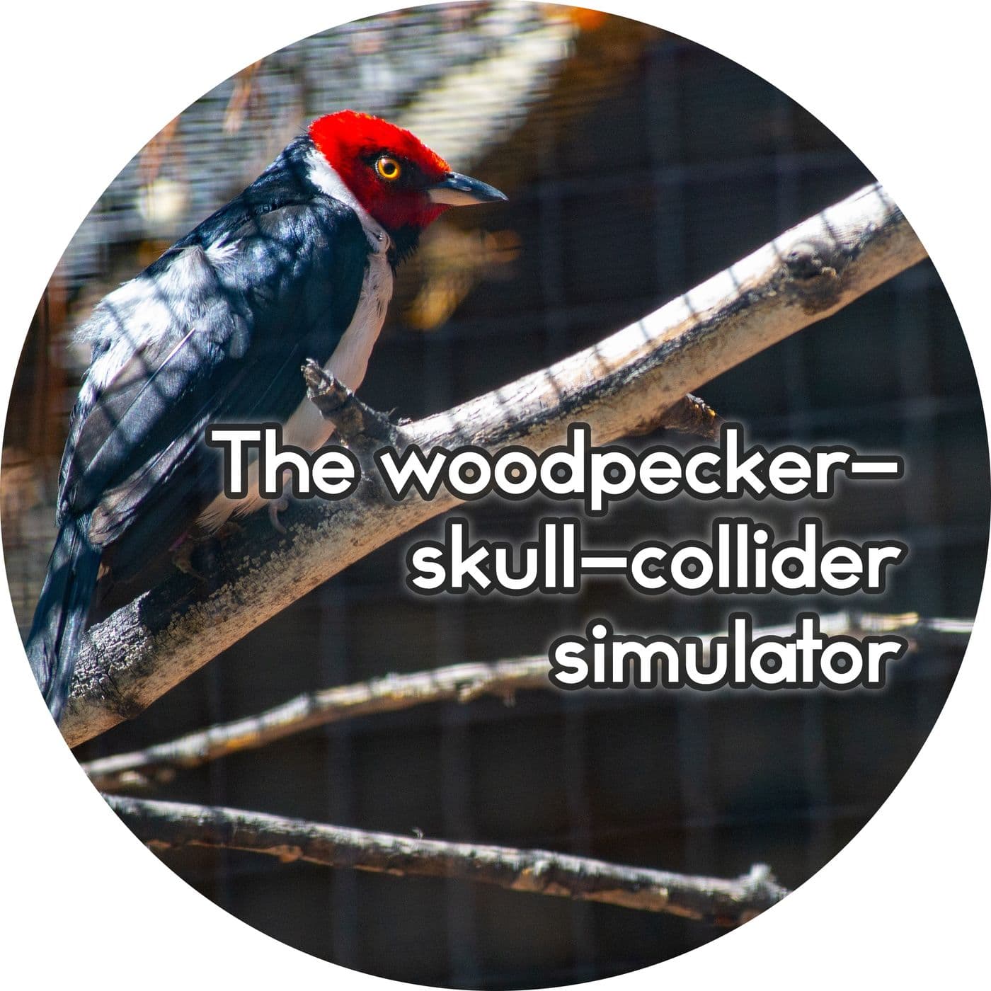 #2.23: The woodpecker-skull-collider simulator artwork