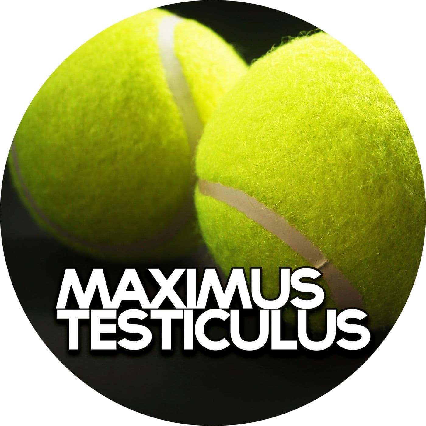 #2.01: Maximus Testiculus artwork