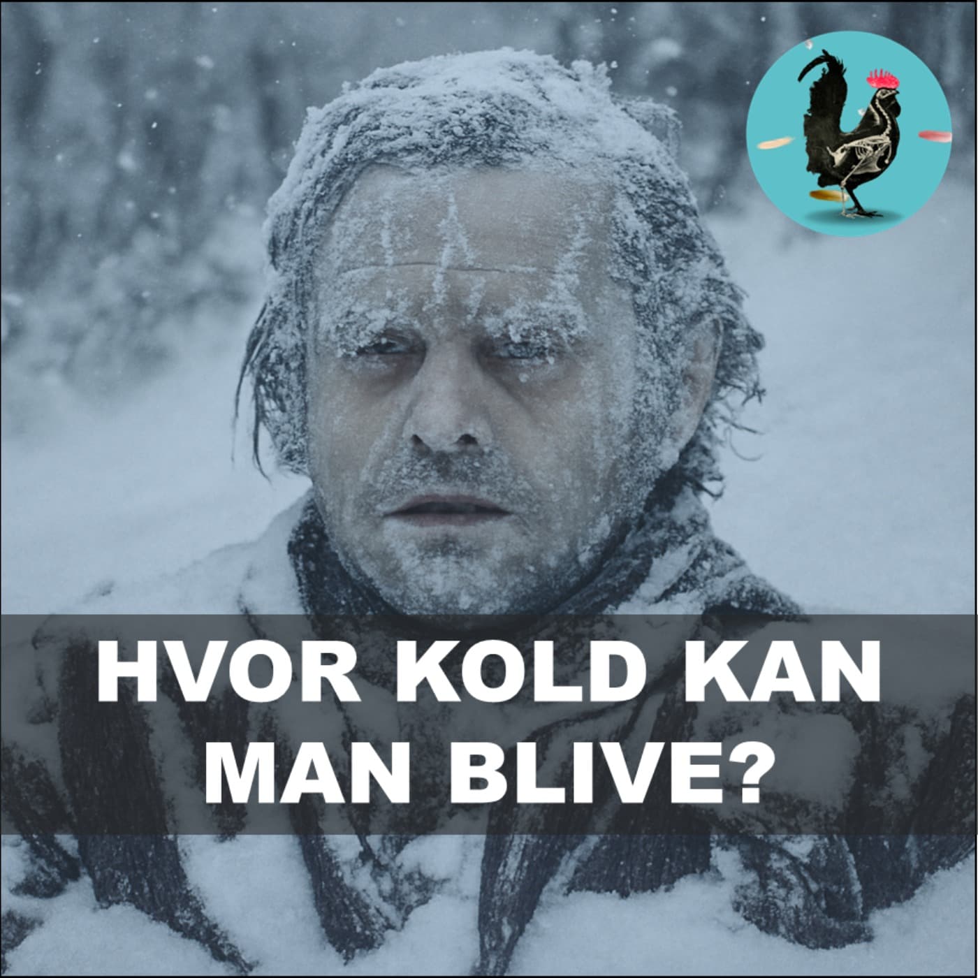 #233: Den kolde død: Kuldeforsøg i koncentrationslejrene artwork