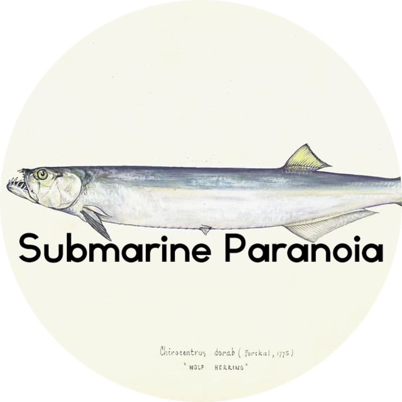 #2.25: Submarine paranoia artwork