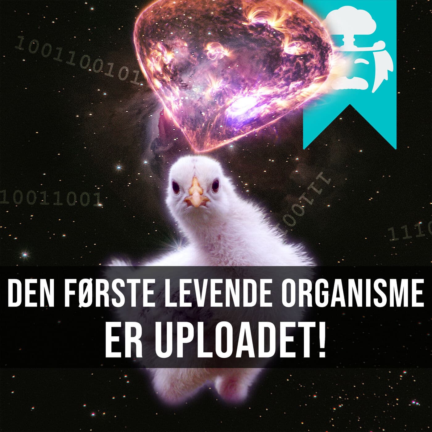 #006: Digital udødelighed artwork