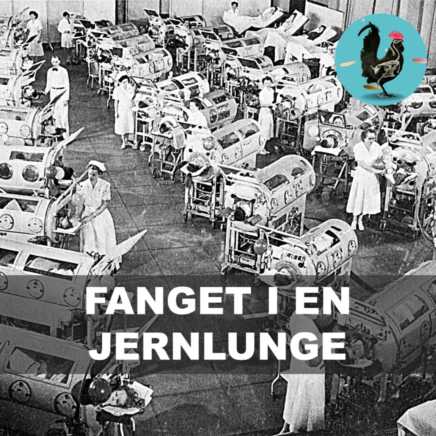#225: Polio: Sygdommen der æder dit nervesystem artwork