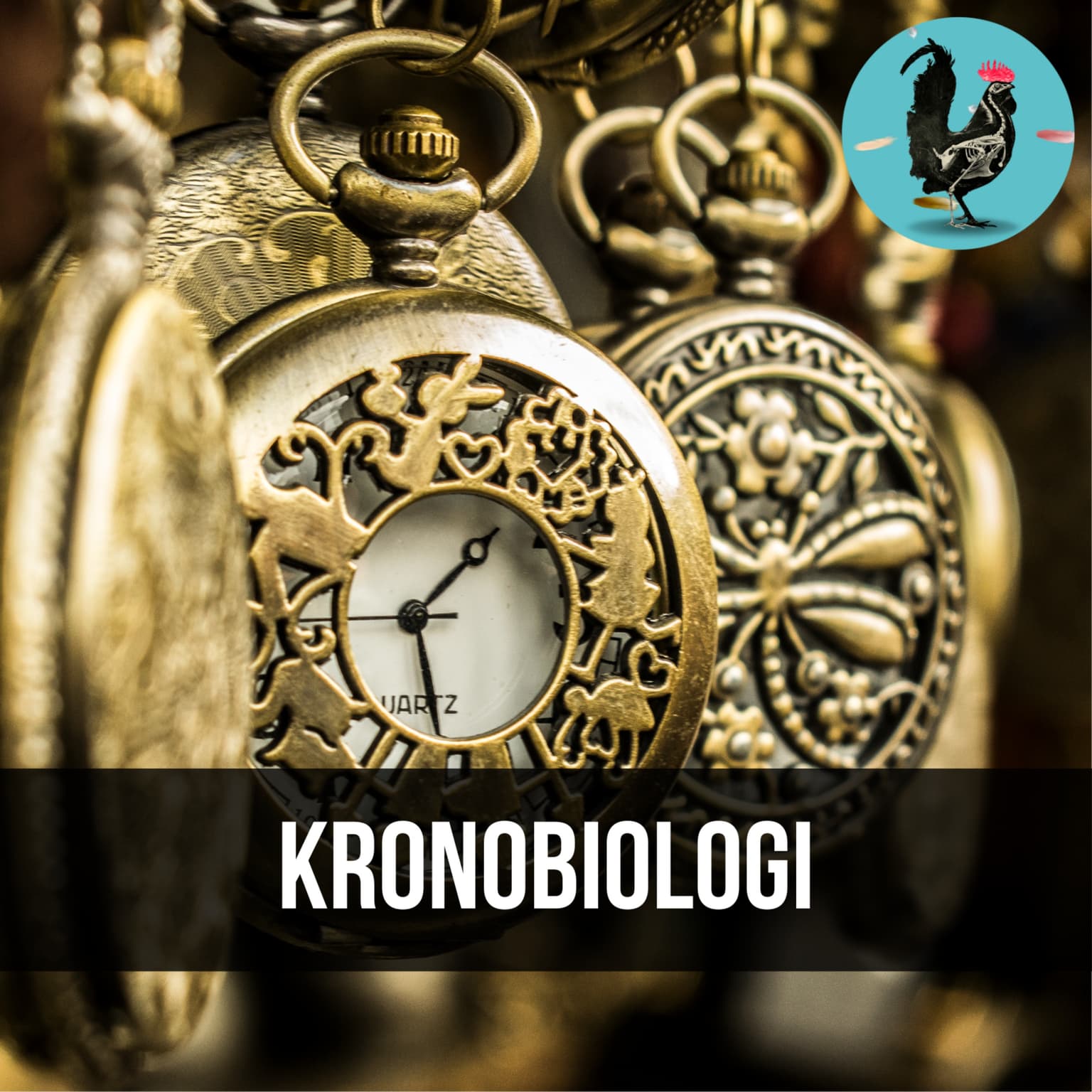 #185: Bør døgnrytmer være længere end 24 timer? artwork