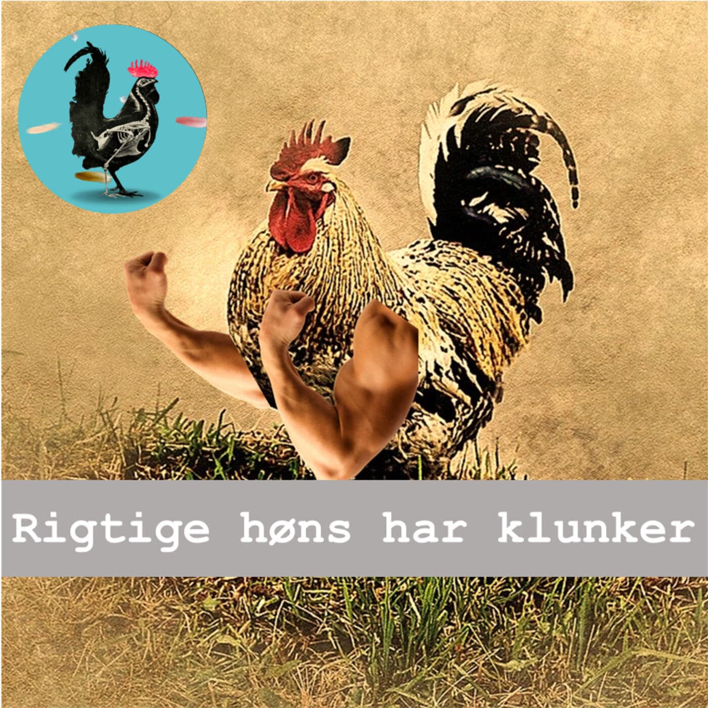 #027: Virtuelle hønse-klunker artwork