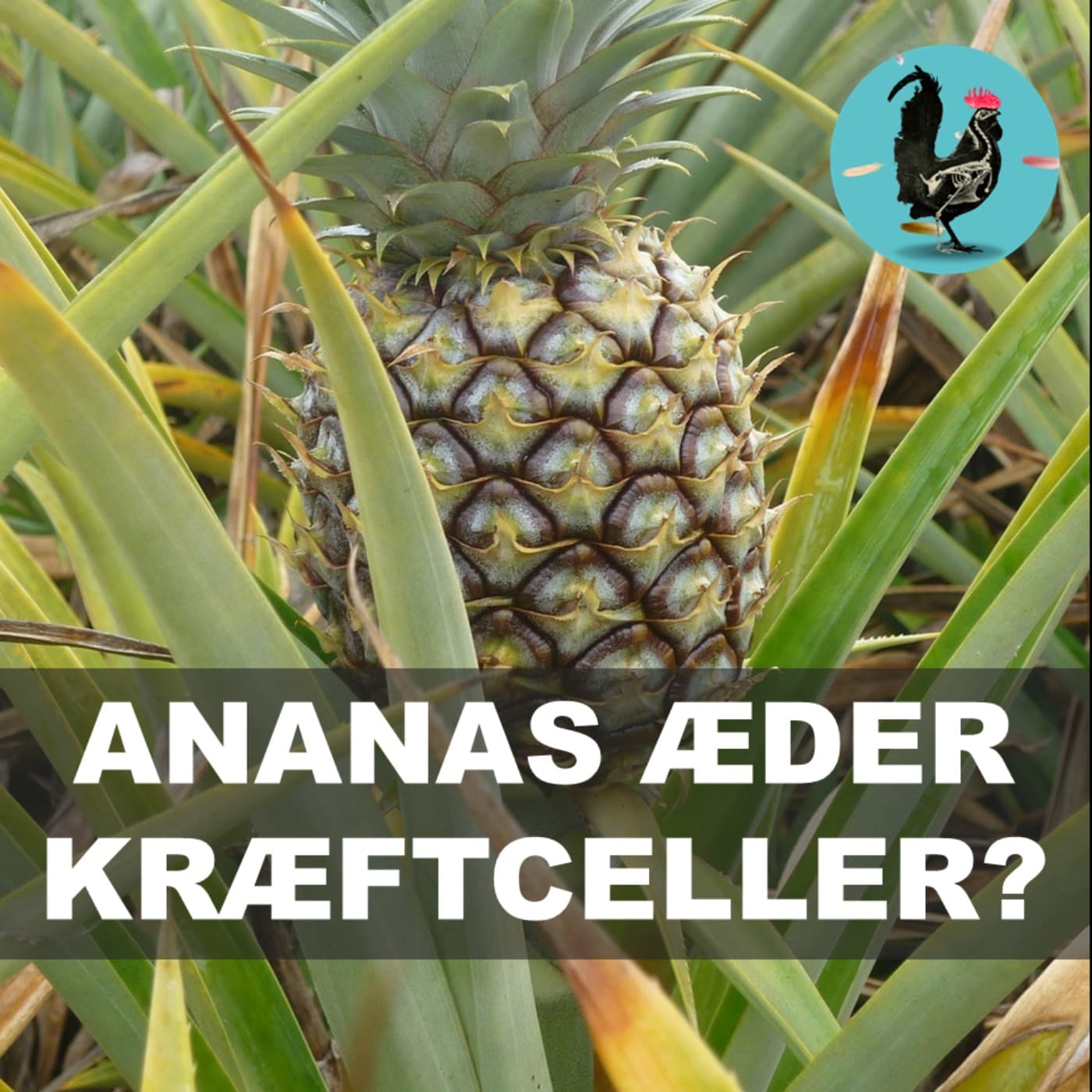 #240: Frugten der spiser dig, mens du spiser den artwork