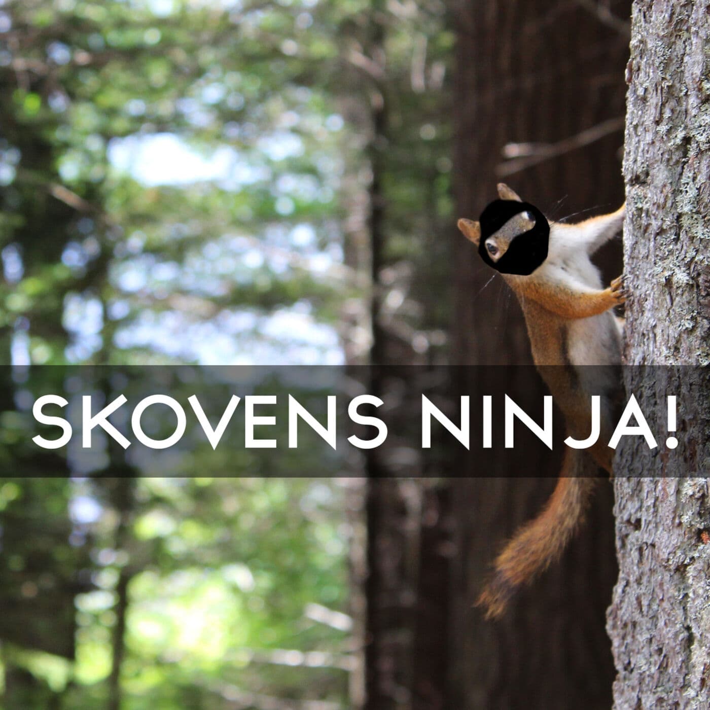 #3.28: Egern - Skovens ninja! artwork
