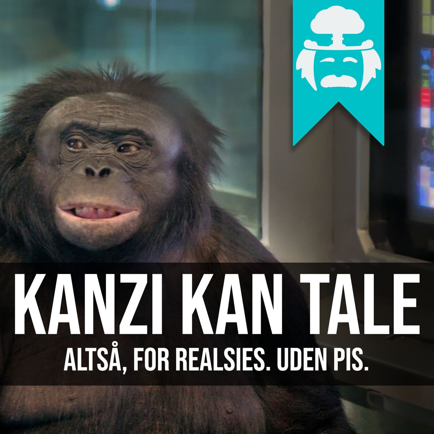 #011: Hvornår kan vi tale med dyr? artwork
