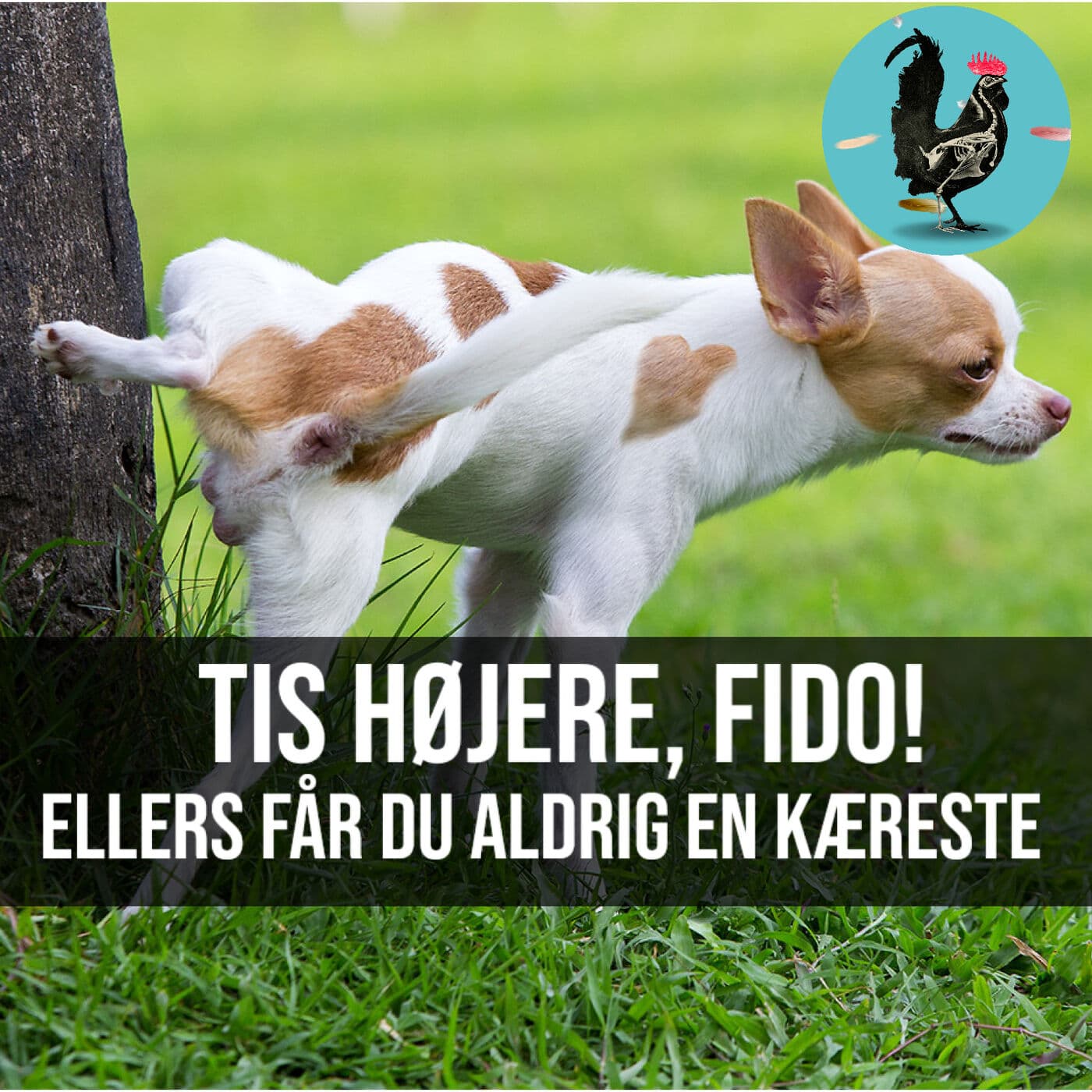 #085: Små hunde lyver også på Tinder artwork