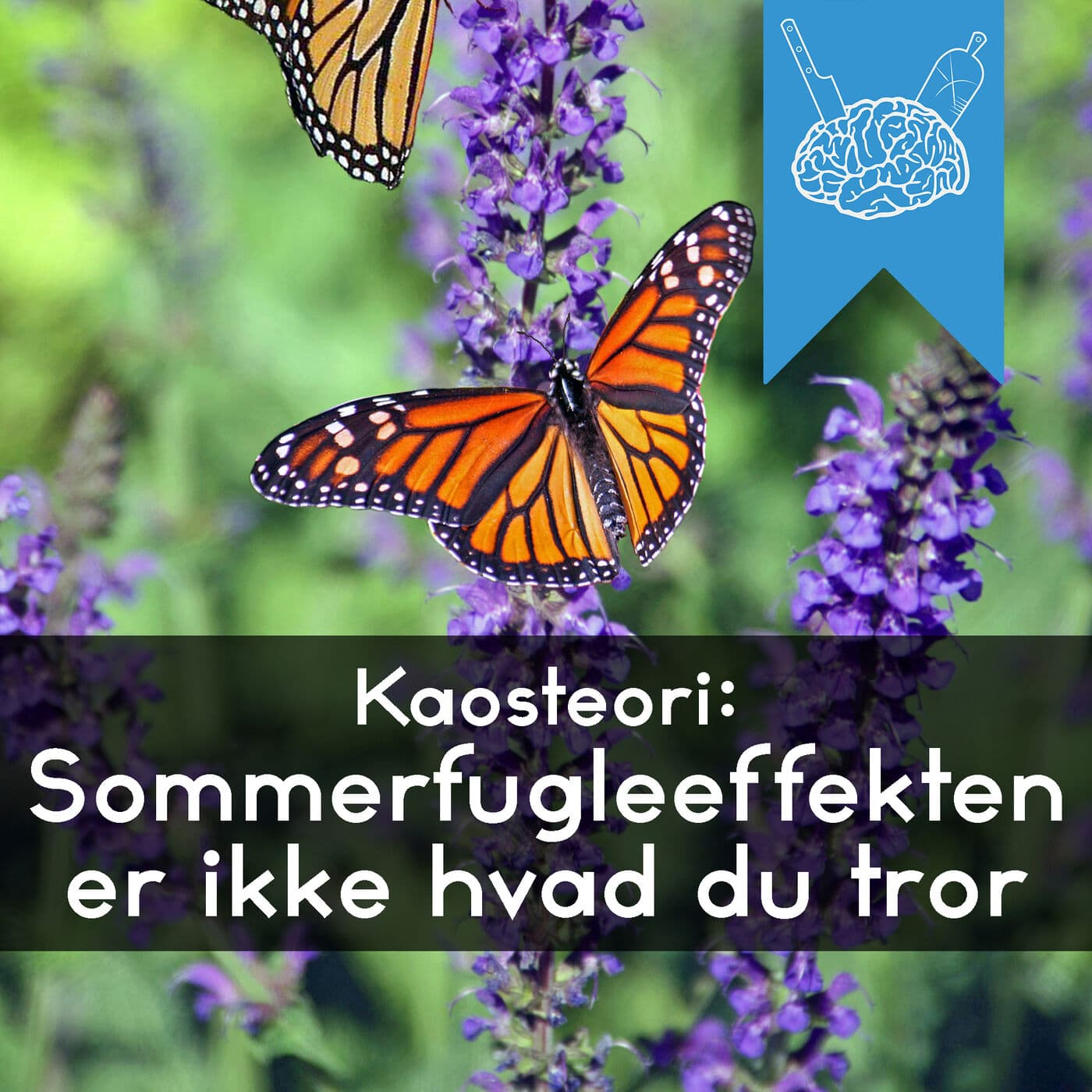 #3.60: Du er 93% forudsigelig artwork