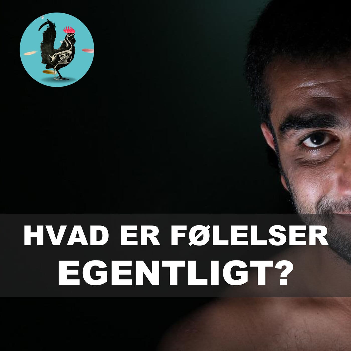 #081: Antisociale elementer artwork