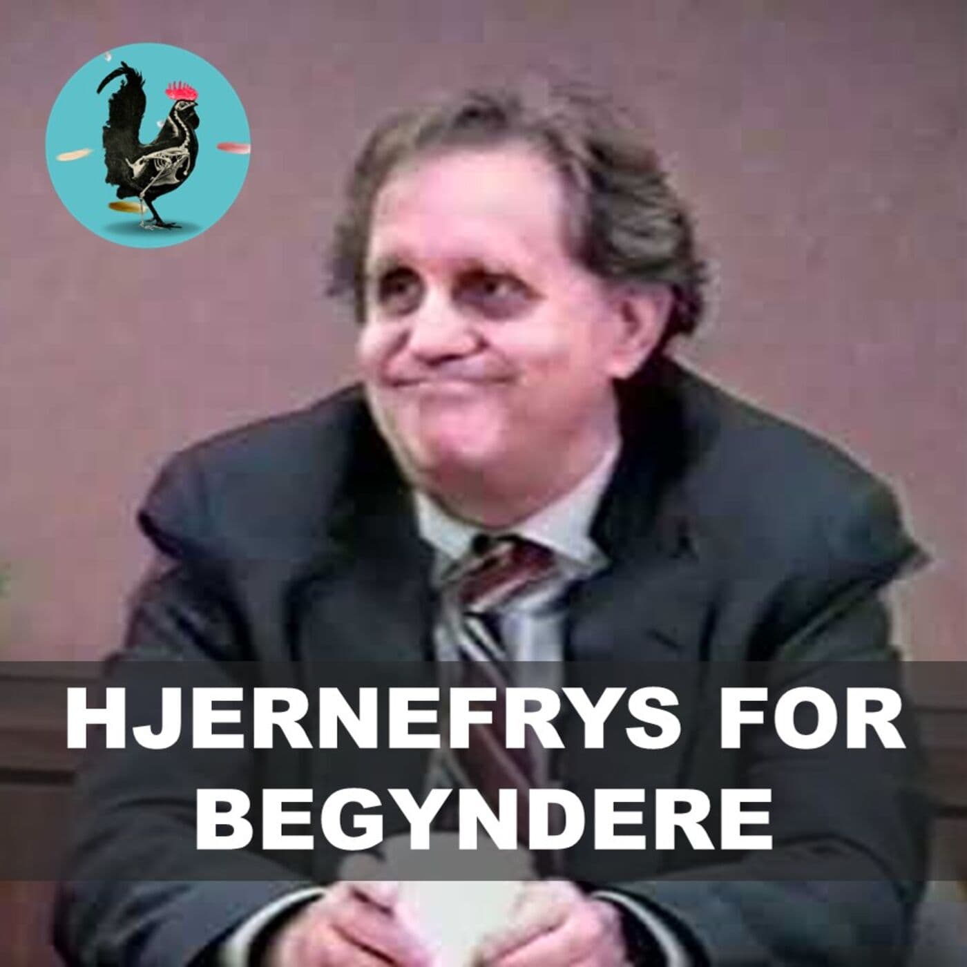 #084: Hjernefrys for begyndere artwork