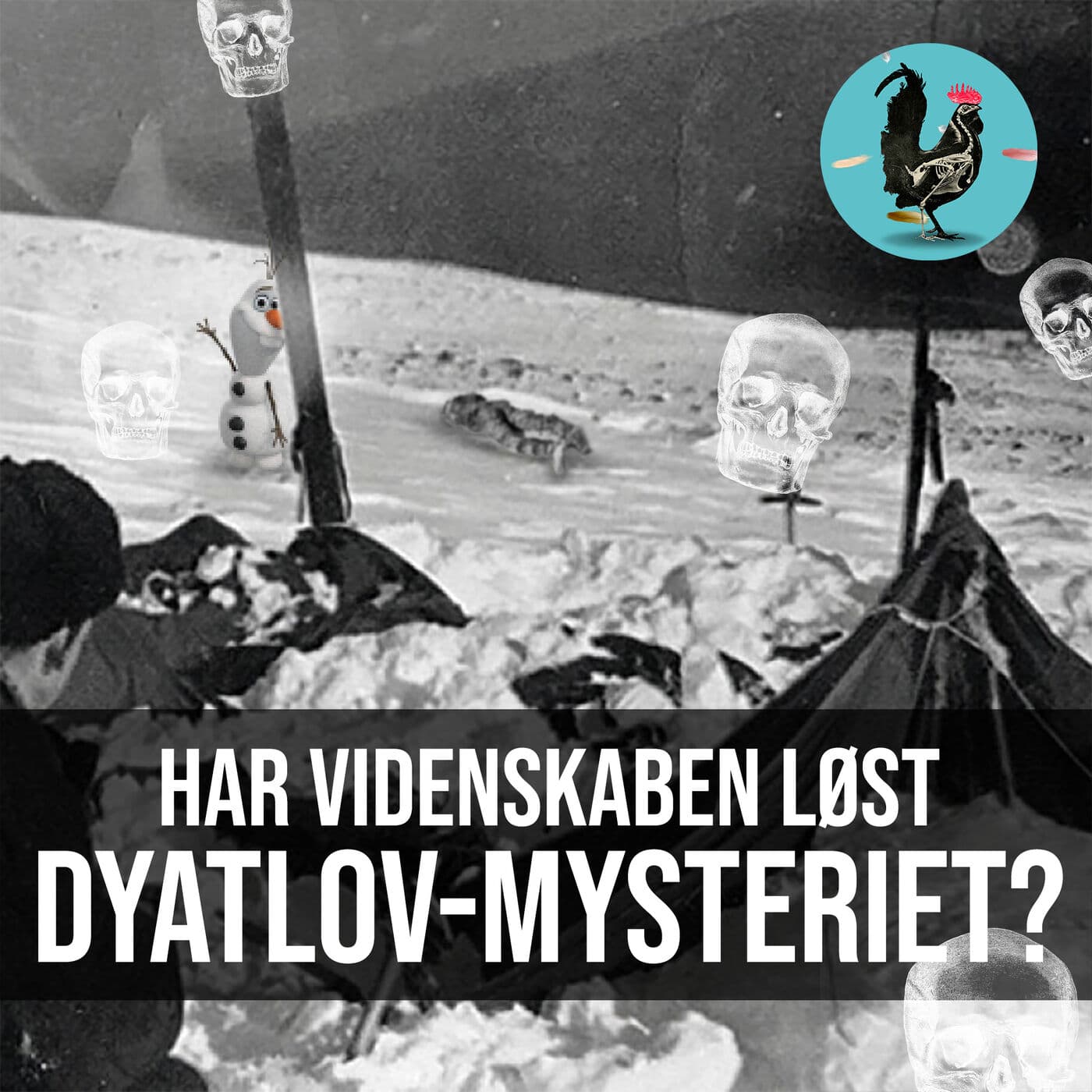 #015: Hvad kan vi lære af lig? (GRAFISK INDHOLD) artwork