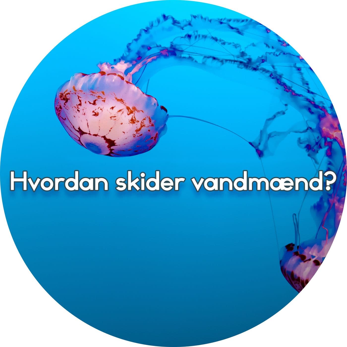 #2.22: Hvordan skider vandmænd? artwork