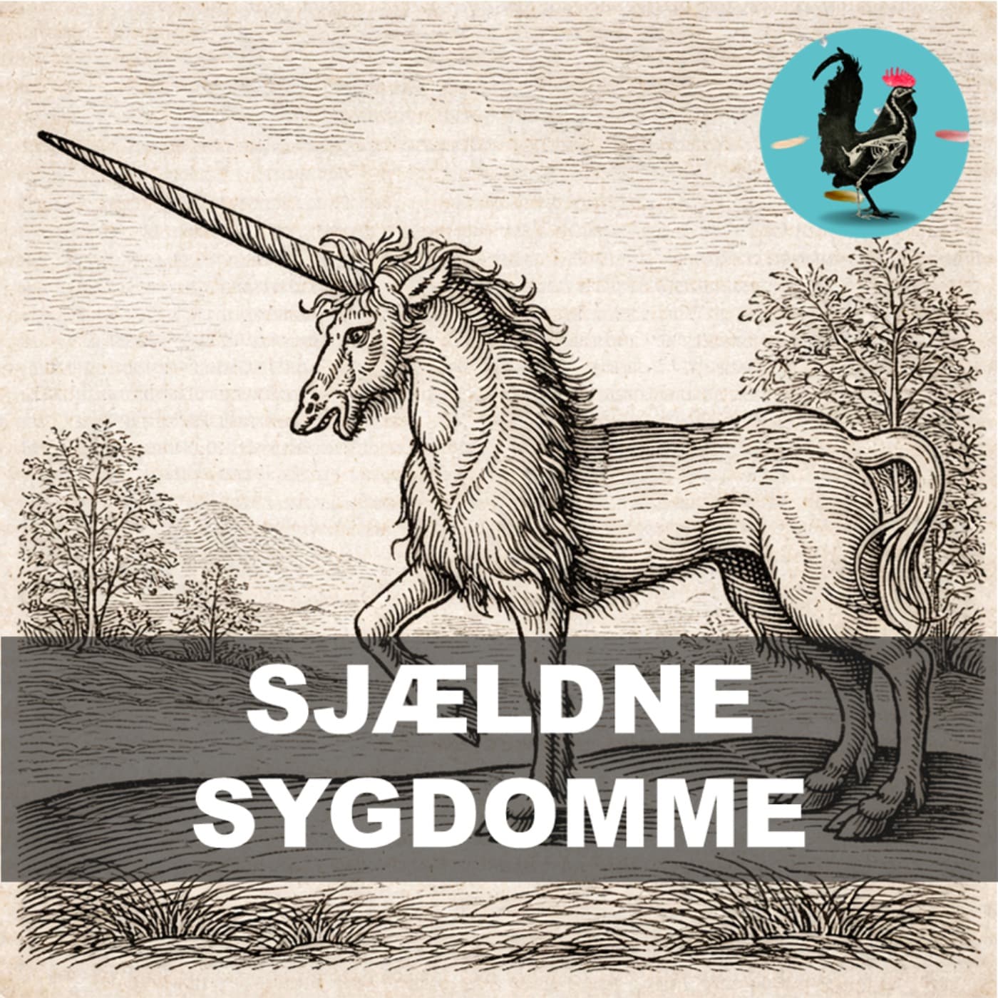 #255: De sygdomme som vi ikke forstår artwork