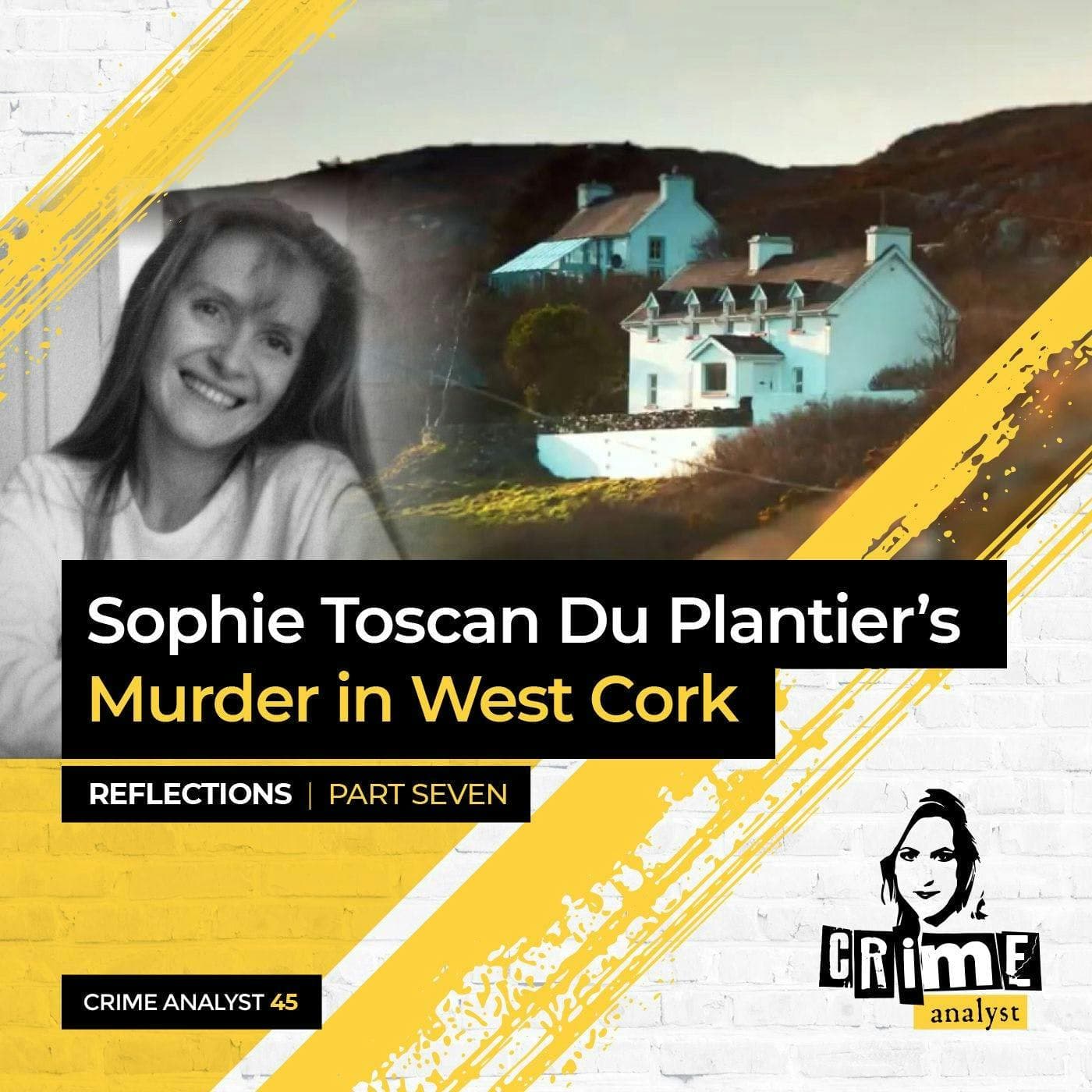 Ep 45: Sophie Toscan Du Plantier’s Murder in West Cork: Reflections, Part 7 artwork