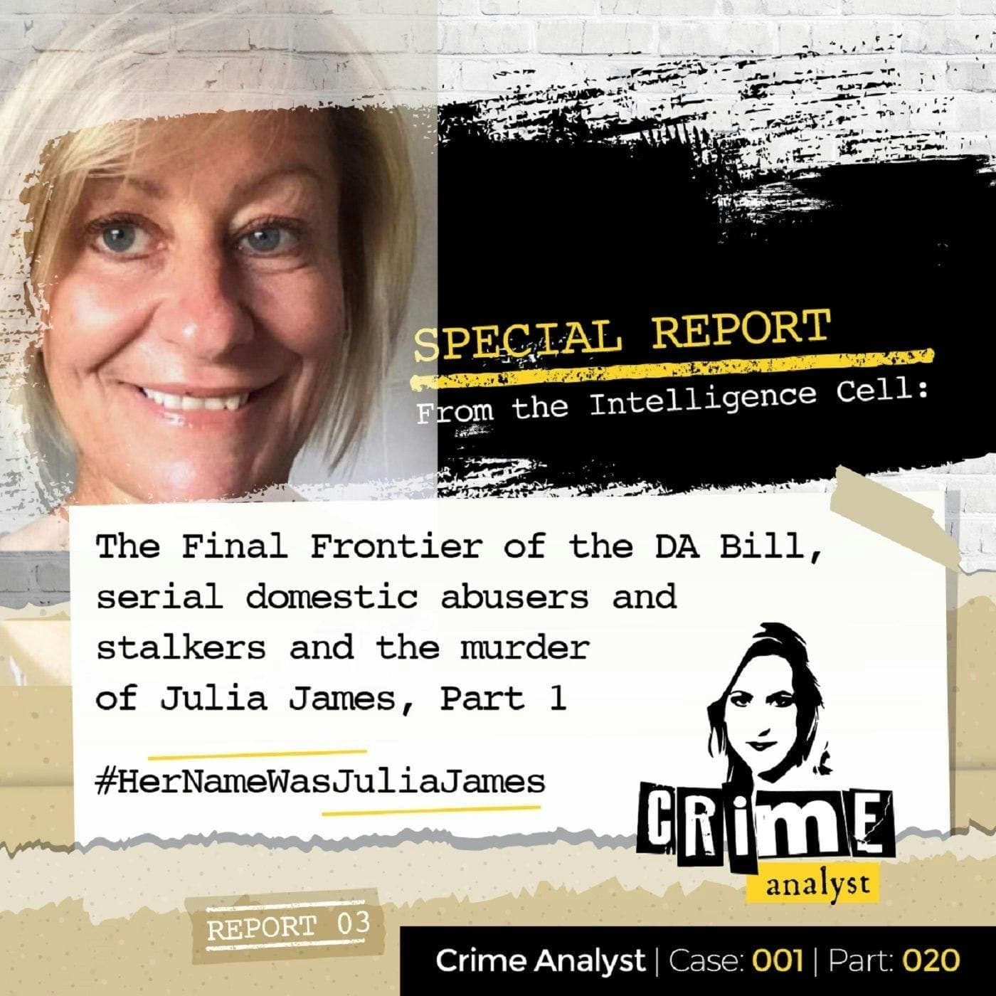 Ep 20: The Final Frontier of the Domestic Abuse Bill, Serial Domestic Abusers and Stalkers and Julia James’ Murder, Part. 1 artwork